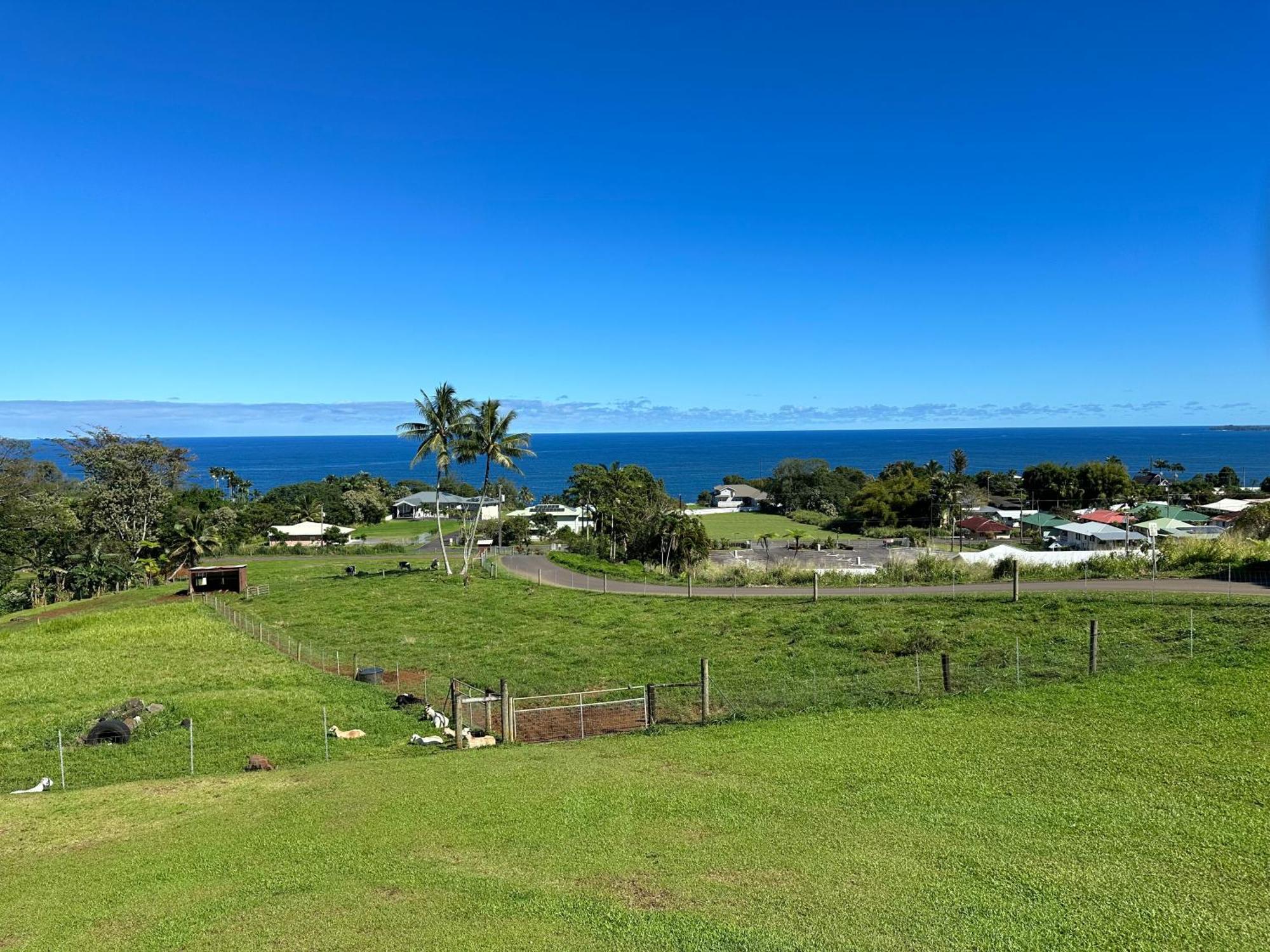 Hawaii Magic Skies Farmstay Paukaa Bagian luar foto