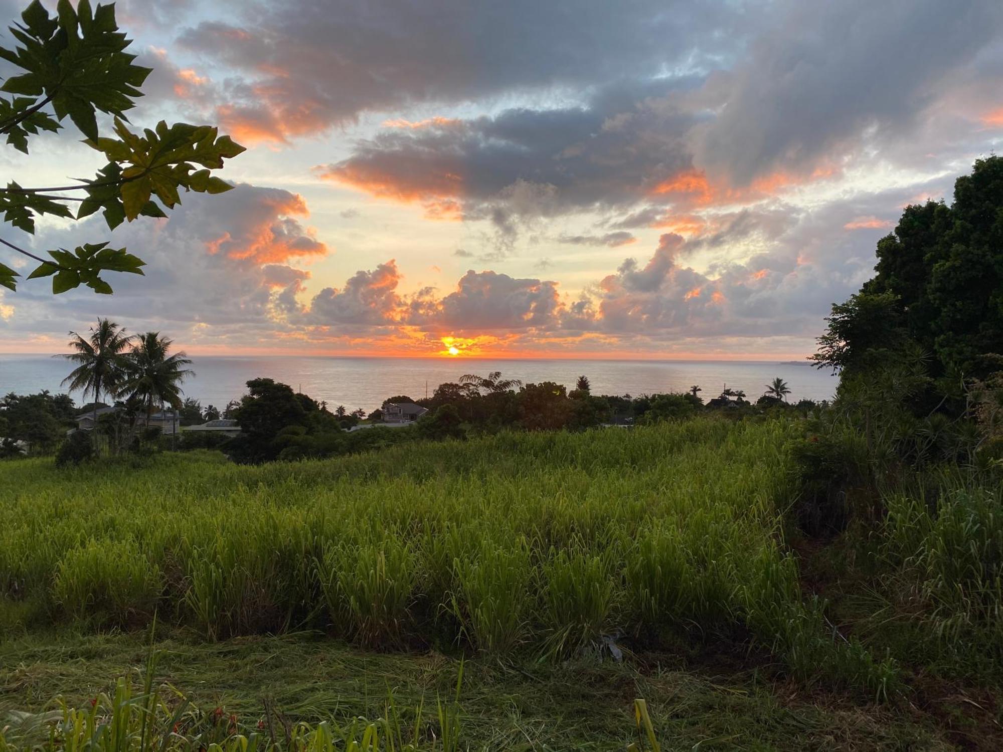 Hawaii Magic Skies Farmstay Paukaa Bagian luar foto