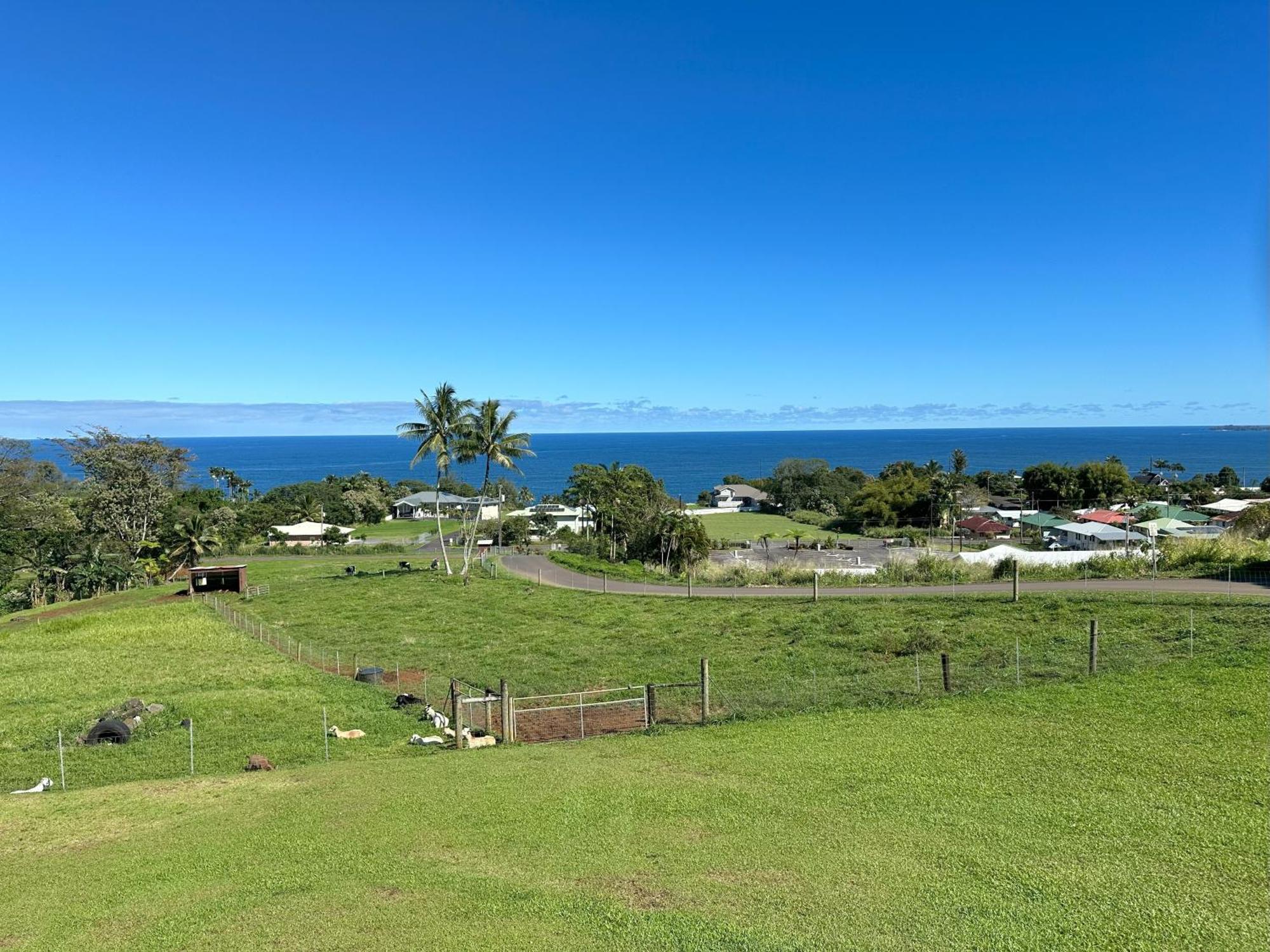 Hawaii Magic Skies Farmstay Paukaa Bagian luar foto